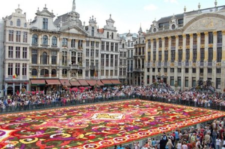 Удивительные цветочные ковры Брюсселя