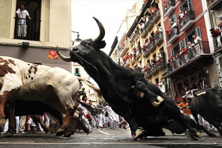 Бег с быками на празднике Святого Фермина в Памплоне