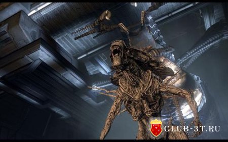 Чит коды к игре Aliens vs. Predator 2010