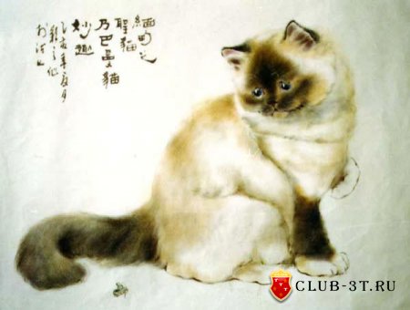 Королева кошек Гу Инджи (Gu Yingzhi)