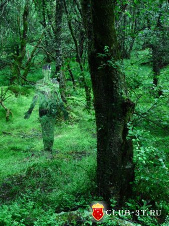 Лесные призраки Шотландии