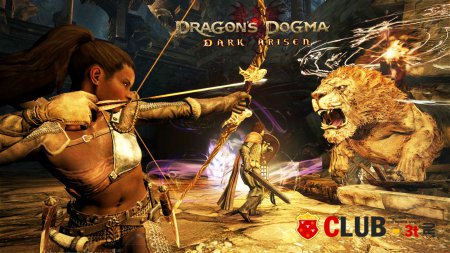 Dragon's Dogma Dark Arisen Трейнер version 1.03 + 24