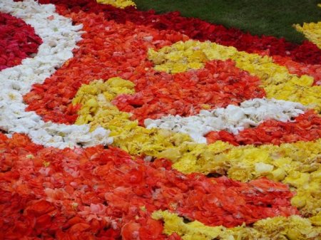 Удивительные цветочные ковры Брюсселя