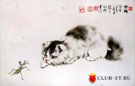 Королева кошек Гу Инджи (Gu Yingzhi)