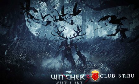 скриншот игры The Witcher 3 Wild Hunt ( Ведьмак 3 Дикая охота )