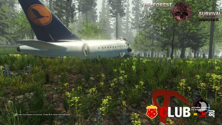The Forest Trainer version 0.33d + 9